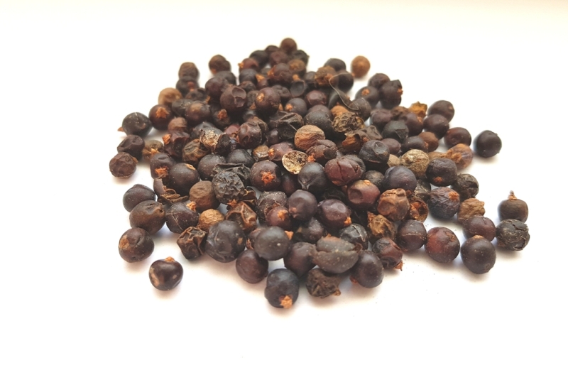 Wacholderbeeren Wacholderbeeren