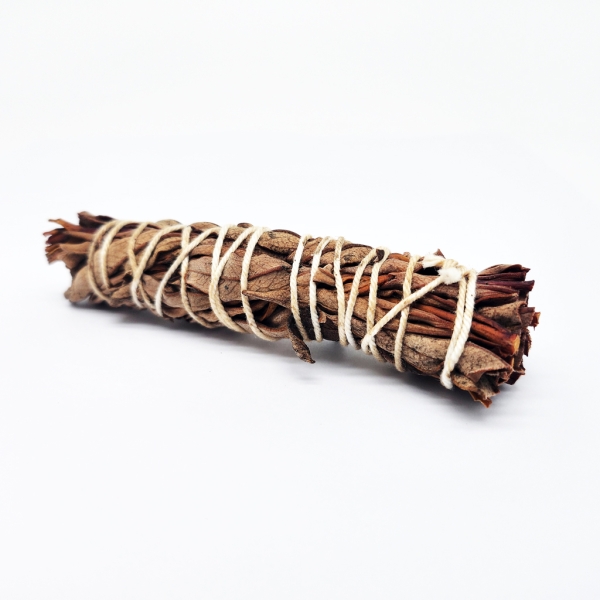 Indianisch-Smudge Stick-Zistrose