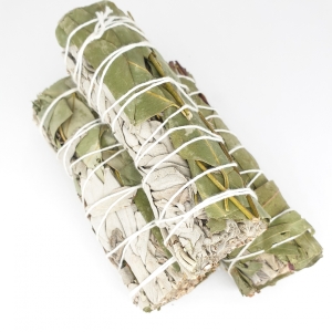 Weisser Salbei, Smudge Stick Eucalytus, 30-40 g
