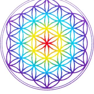 Sticker-flower of life-Chakra 20 mm, transparent
