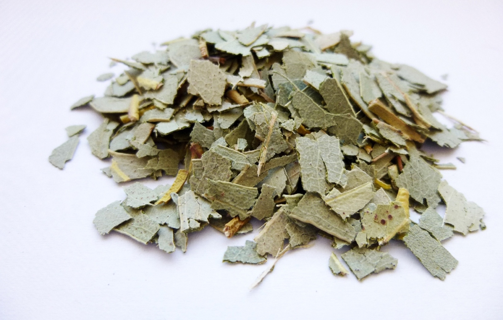 Eucalyptus leaves