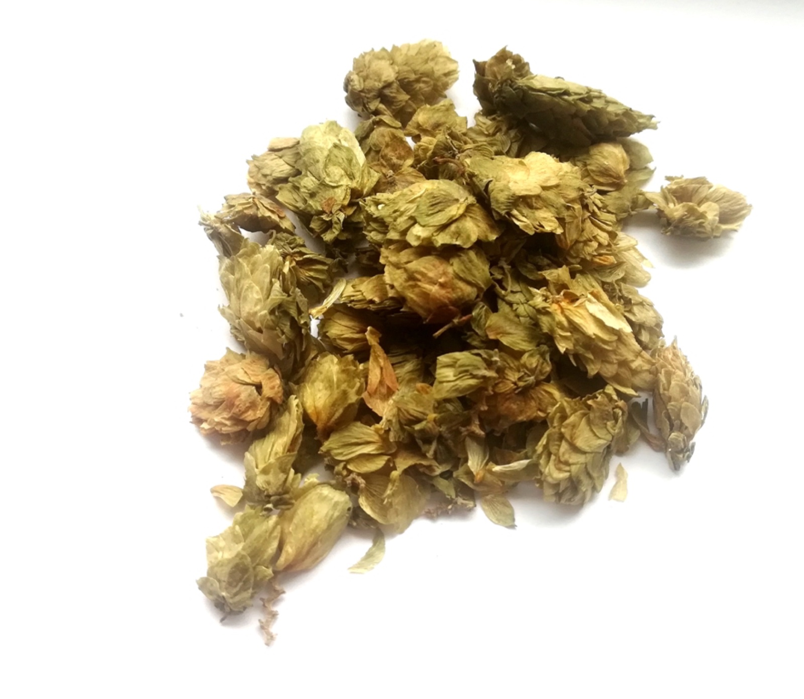 Hopfenblüten