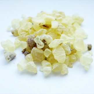 Dammar resin